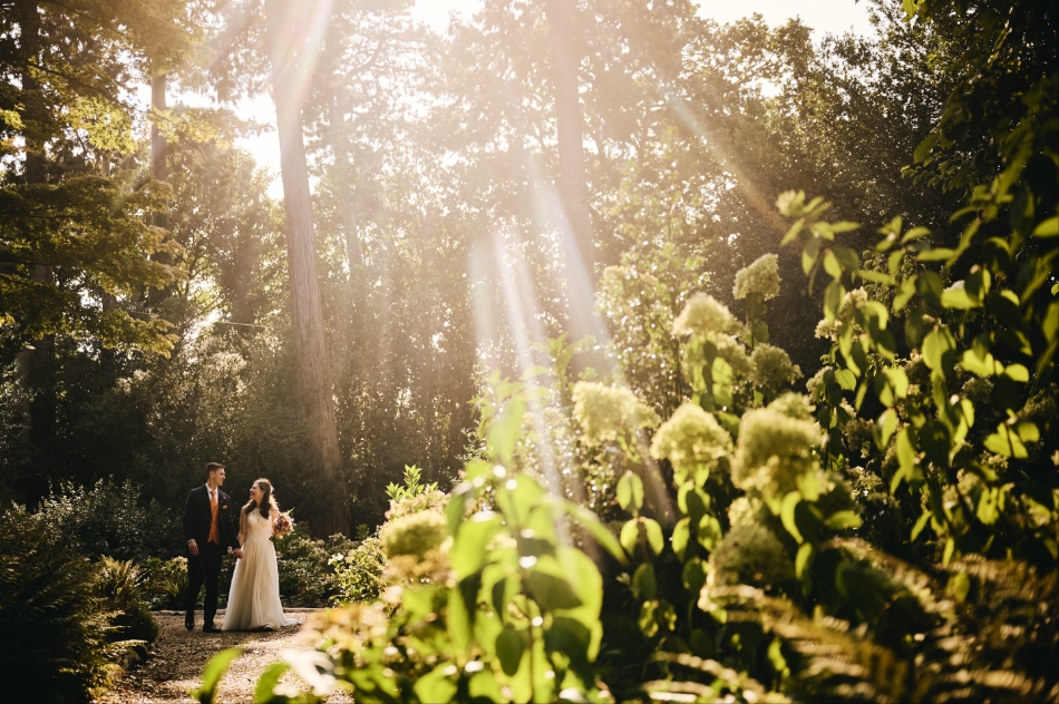 Gallery image 8: haughley-park-barn