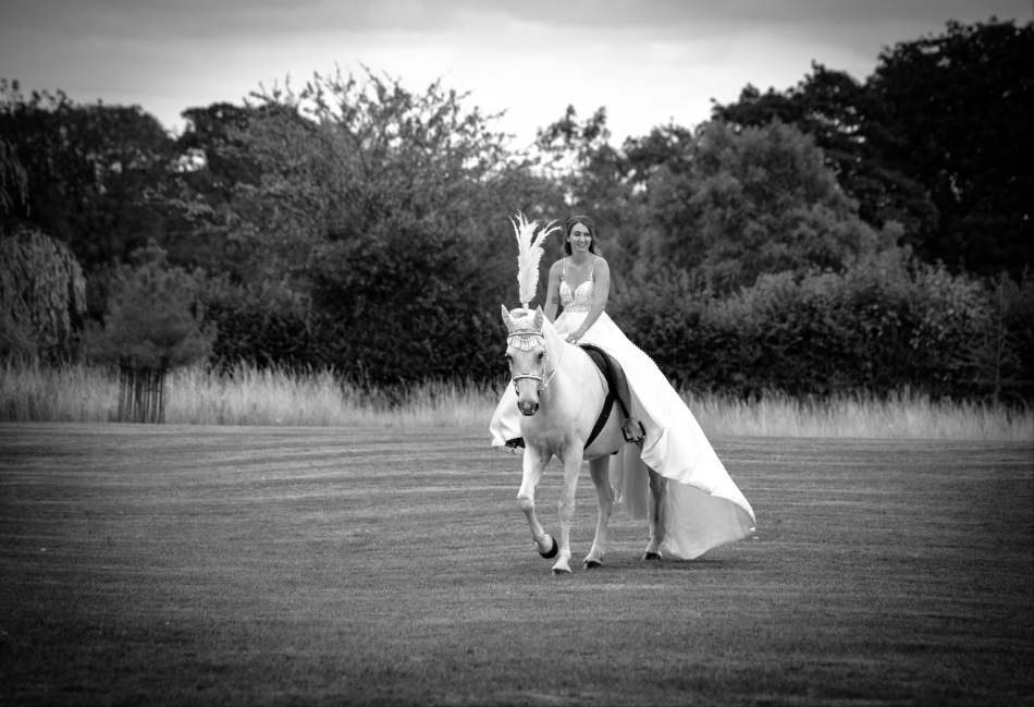 Gallery image 12: suffolk-barn