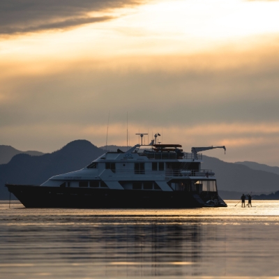Honeymoon News: Gondwana Ecotours Launches Alaska Yacht Adventure for Wildlife Encounters