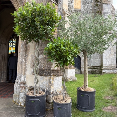 Wedding News: Meet the supplier, Sue Huckle, from Posh Plants