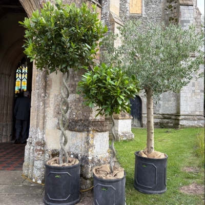 Local supplier spotlight: Posh Plants