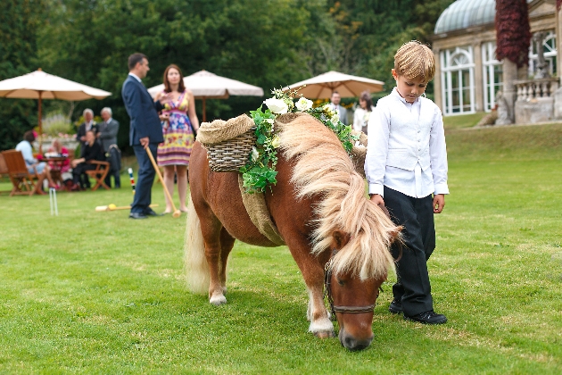 mini pony with pageboy at wedding