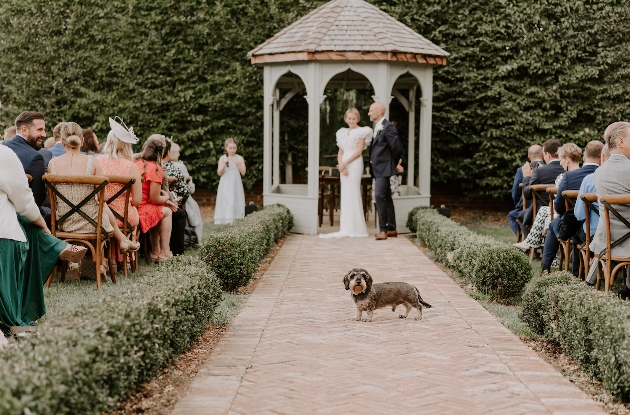 Bride and groom standing at the alter with a dog looking at the camera