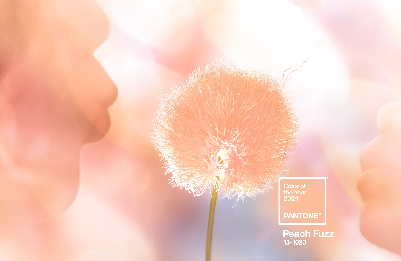colour swatch of peach tone with figures of faces blowing a dandelion