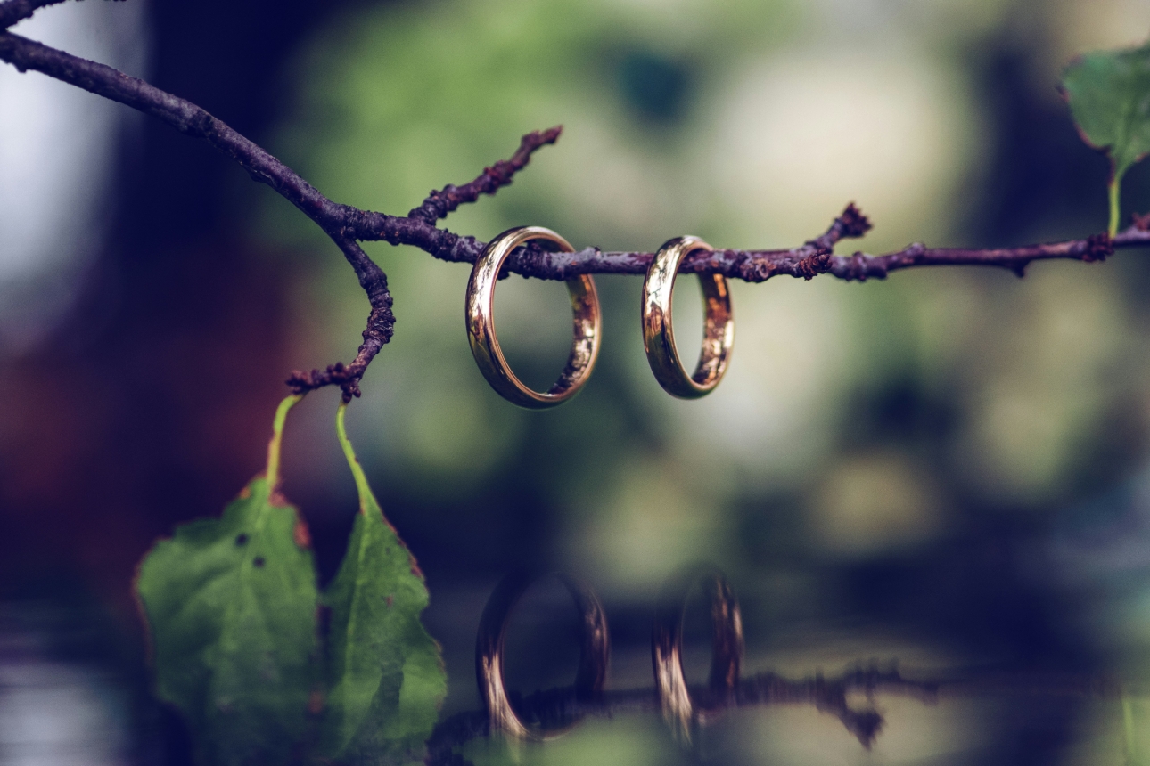 Jewellery Cleaning two wedding rings on a branch