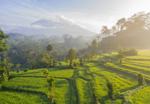 Indonesia  farm land with mountains in views