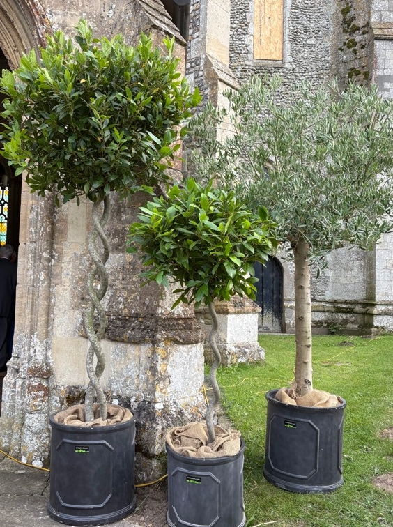 potted plants outside a church