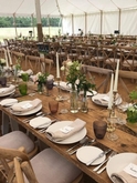 Thumbnail image 1 from Belles and Beaus Wedding Hire and Venue Styling
