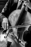 Scintillo String Quartet: Image 2